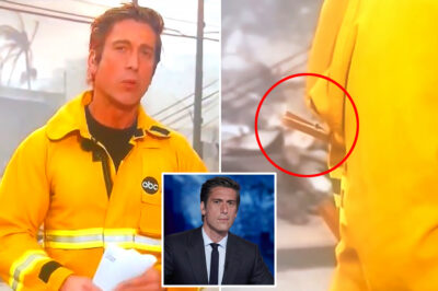 ‘What Were They Thinking?’ David Muir Fires Back at Critics Over Controversial LA Wildfire Coverage, Defending His Journalism—Discover Why This Backlash Is Igniting Debate! 👇