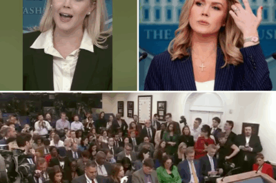 Karoline Leavitt Clashes With Reporter Over “Unsubstantiated” Trump Video Shown to South African President — See Why Everyone’s Talking 👇
