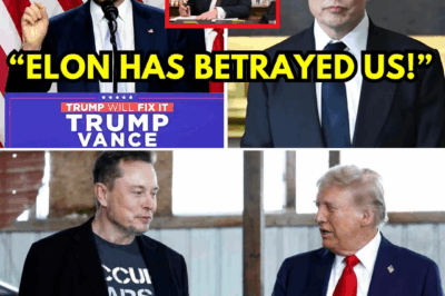 ‘You’re Not Supposed to Know This!’ JD Vance Exposes Elon Musk’s Shocking Exit from Trump’s Inner Circle —Uncover the Secret That’s Rocking Politics Now!