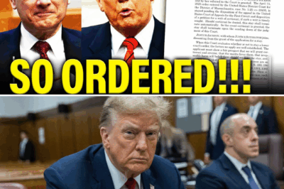 ‘This Changes Everything!’ Supreme Court Delivers Jaw-Dropping Verdict on Trump’s Controversial Scheme —Discover Why This Is Shaking the Nation Now!