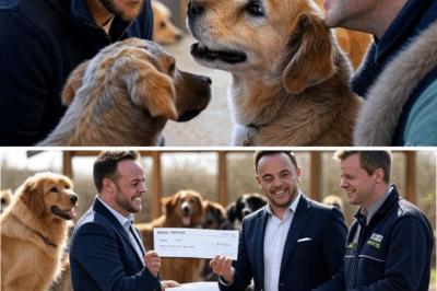 Ant and Dec Steal the Show at a Dog Shelter: 18 Unadopted Dogs Find Hope in an ITV Twist 🐕🌟❤️