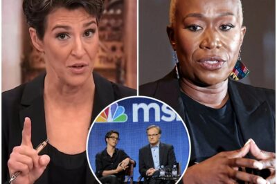 Three Months After Rachel Maddow’s Shocking Criticism of MSNBC, She Discovers Something More Valuable Than Victory — And a Quiet Revolution is Brewing Behind the Scenes