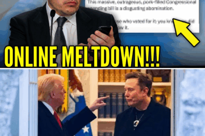 Elon Musk’s Explosive Betrayal: Billionaire Torches Trump’s ‘Pork-Filled’ Megabill as a ‘Disgusting Abomination’ in Shocking Public Feud