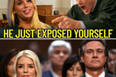 ‘You can’t lecture me on marriage!’ Pam Bondi Fires Back, Unveiling Judge’s Hidden Network in Courtroom Showdown—Discover the Shocking Truth!
