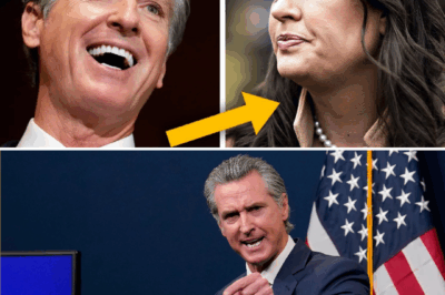 Gavin Newsom BRUTALIZES Arkansas Governor, TOTAL COLLAPSE
