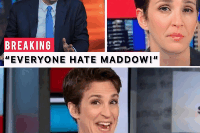 Jon Stewart Hilariously DESTROYS Maddow — But It Backfires!