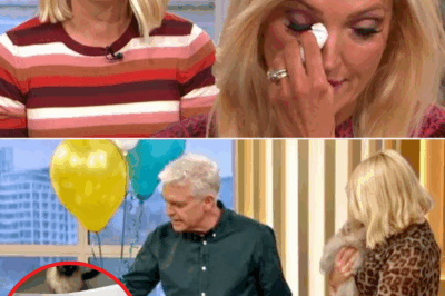 ‘No One Was on My Side’: Holly Breaks Silence on Divorce Drama After ITV Dumps Her and Dancing on Ice Return Vanishes Overnight Amid £377,000 Tax Debt Bombshell! 💔📺