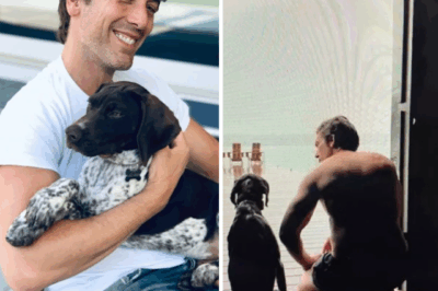 David Muir’s Rise to Stardom Sparks Tension: ‘He’s Just Too Perfect!’ — Why His World News Tonight Predecessor Diane Sawyer Was Left Miffed! — Dive Into the Drama That’s Got Everyone Talking! 👇