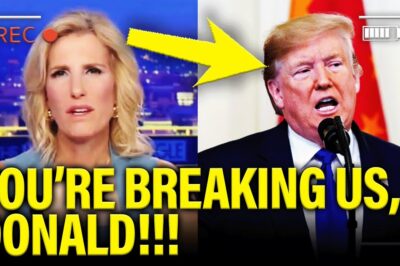 ‘We’re done with their lies!’ Fox News Crumbles on Live TV as Trump Gets Outplayed in a Stunning Reversal—What Unfolded Will Blow Your Mind! Dig Into the Explosive Drama Now!