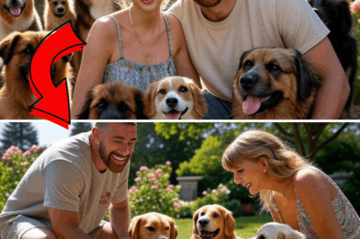 Taylor Swift and Travis Kelce’s Heartwarming Act of Compassion: How They Adopted and Personally Cared for a Pack of Homeless Dogs – You Won’t Believe What They Do for These Pups Every Day!