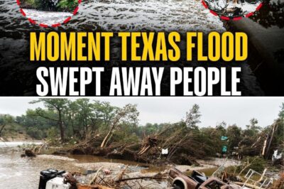 The horrific moment when Texas floodwaters swept away a little girl, her desperate cries echoing in the chaos…”