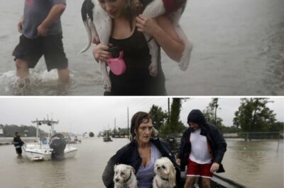 🐾 A miracle reunion! A dog swept away in the Texas floods stunned everyone by surviving—hiding inside a washing machine! How did this pup beat the odds?