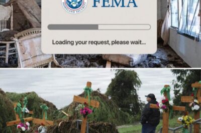 FEMA’s chief fires back! Facing heat over the Texas floods response, they’re calling it a “model” for disaster recovery—despite the chaos that left many stranded. Is this bold claim justified?