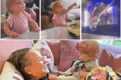 ADORABLE ALERT! 😍 Baby Maple Sees ‘Papa’ Ozzy on TV for the First Time — Her Sweet Reaction Will Melt You! 🥹❤️
