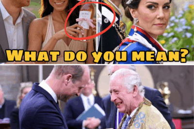 William’s 43rd Birthday Descends into Royal Chaos: Meghan and Harry’s As Ever Rosé Gift, Steeped in Diana’s Memory, Ignites Fury as a Brazen Insult 😡👑🌹⚡ A Gift or a Gibe? The Sussexes’ Rosé, Branded with Diana’s Legacy, Sparks Outrage, with William Viewing It as a Cruel Exploitation of His Mother’s Name.