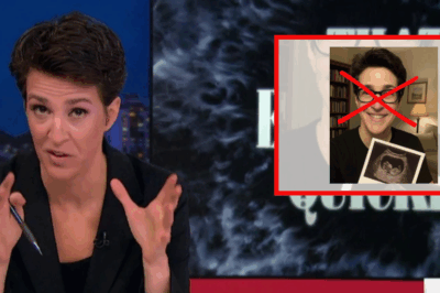 Enough Is Enough: Rachel Maddow Slams Shocking Surrogacy Rumors with Fierce Denial and a Warning That Has Everyone Talking