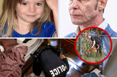 SHOCKING BREAKTHROUGH IN MADELEINE MCCANN CASE: Chilling DNA Evidence Found in Kitchen Utensils and Suspect’s Car Sparks New Hope for Answers in 18-Year Mystery