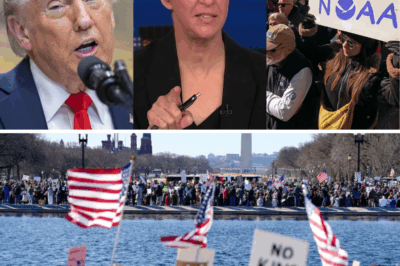 Rachel Maddow and Donald Trump Engage in Unstoppable Clash Over America’s Future – The Bitter Feud You Can’t Afford to Miss!