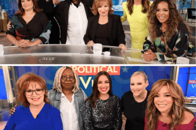 The View’s Shocking Shake-Up: Beloved Hosts Out, Mysterious New Faces In – Is This the End of the Show We Thought We Knew?