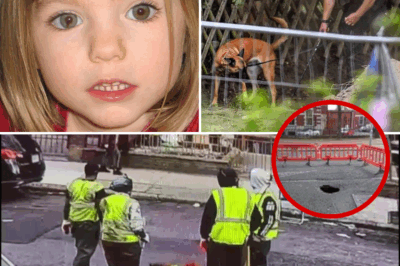 Shock in Madeleine McCann Case: Sniffer Dogs Uncover Chilling Evidence in Drain, Decomposition Timeline Matches June 2025 Search—Is the Truth Finally Emerging?