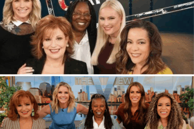 “The View” Shocker: Show Announces Sudden Hiatus Amid Explosive Cancellation Rumors—Is This the End for the Daytime TV Icon?