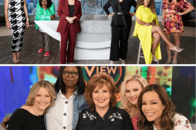 From Explosive Clashes to Shocking Walkouts: The View’s Chaotic Formula Skyrockets Ratings – But What’s the Jaw-Dropping Secret Behind Its Unstoppable Success?