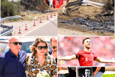 ‘If anything happens, remember what I said.’ 📞 The Final Words in a Call: Diogo Jota’s Mother Shares the Final Call Before a Tragedy No One Saw Coming 💔🕯️