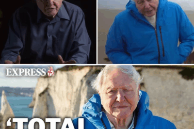 Legendary Storyteller David Attenborough Reflects on Life’s End in Stunning New Ocean Documentary That Could Change How We See Our Planet Forever