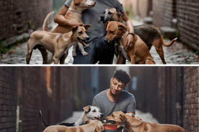 Patrick Mahomes Hears the Heartbreaking Howls of 23 Starving Stray Dogs in a Forgotten Alley—and Delivers Not Just Food, But a Lifetime of Love with a Surprise Invitation That Shocks the Neighborhood