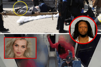 Shocking Exclusive: Fleeing War’s Shadows, Ukrainian Beauty Queen Stabbed to Death on US Train—Police Slam Door on Probe with Jaw-Dropping ‘Random Act’ Excuse That Has America Boiling in Rage—Is This Justice or a Slap in the Face to Innocent Lives? What Are They Hiding?!