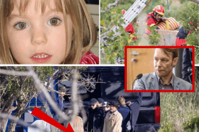 The Final Enigma of Madeleine McCann: Portuguese Police Abandon Forest Search, Leaving with a Mysterious Colored Box Bound for the Morgue