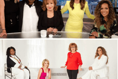 The View’s Stunning Overhaul: Shocking Host Shakeups, New Faces, and a Game-Changing Twist Set to Redefine Daytime TV Forever