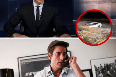 Renowned ABC Anchor David Muir Abruptly Halts Primetime Broadcast in Raw, Tear-Streaked Moment to Unveil the Gut-Wrenching Fate of a Helpless Two-Year-Old Swept Away in Deadly California Floods—Viewers Stunned as Trusted Newsman Reveals Unseen Vulnerability in Historic On-Air Gesture That Exposes the Human Soul Behind the Headlines