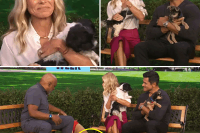 TV Chaos Unleashed: Kelly Ripa and Mark Consuelos Struggle to Keep Composure After Dog Poops On-Air in Hilarious Live Moment