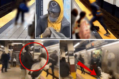 Shocking New York Subway Attack: Anti-White Supremacist Accused of Brutally Beating Stranger—Just Because She Looked at Him—”Go White”