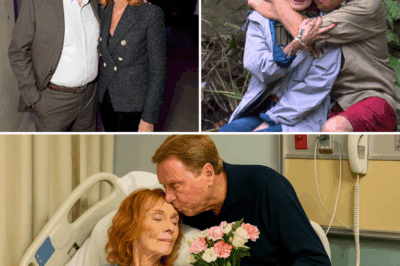 🚨 Tragedy upon tragedy: Sandra fighting for her life in hospital, and now another cruel blow hits the Redknapps. Harry admits ‘I don’t know what I’d do without her.’