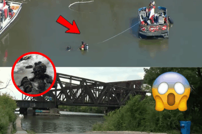 Chilling Discovery in Chicago River: Nearly 100 Sunken Cars Unearthed in Half-Century Search for Missing Couple – Diver’s Haunting Ordeal Revealed!