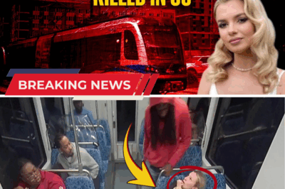 Chilling Final Moments of Ukrainian Refugee Iryna Zarutska: Stabbed to Death on Train as Shocking Truth About Killer’s ‘Madness’ Unravels—Was It All a Sinister Ploy?