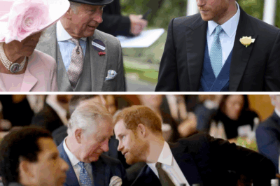 Behind Closed Doors: The Emotional 53 Minutes That Could Rewrite the Royal Rift – Inside Prince Harry and King Charles’s Secret London Reunion
