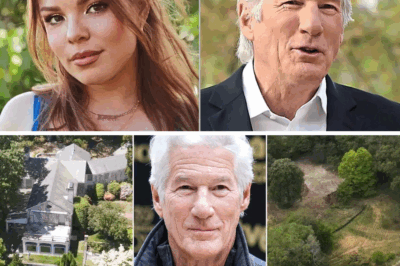 Richard Gere’s $11M Mansion Demolished Amid Outcry from Paul Simon’s Daughter