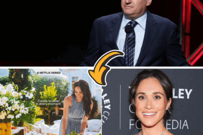 Netflix’s Unfiltered Verdict: Ted Sarandos Lifts the Lid on Meghan Markle, Sparking Global Firestorm