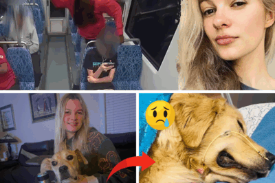 Breaking News: The Heartbreaking Bond That Death Couldn’t Break – Iryna Zarutska’s Beloved Dog Follows Her Into Eternity