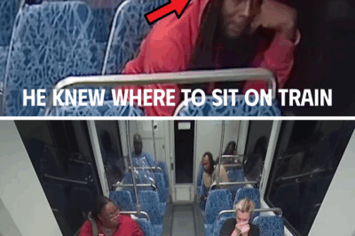 Shadows on the Tracks: Was Iryna Zarutska’s Murder a Calculated Ambush, Not a Random Act?