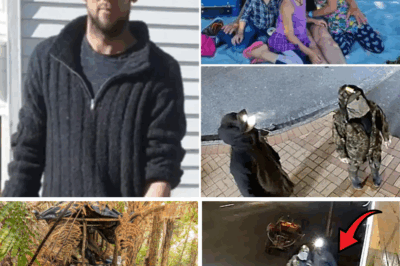 Echoes from the Wilderness: The Heart-Wrenching Words of Three Lost Children That Shook New Zealand to Its Core