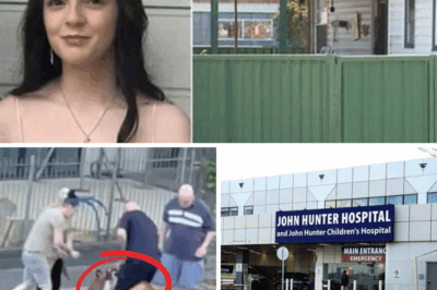 Tragedy in Singleton: A Young Life Lost in a Heartbreaking Dog Attack