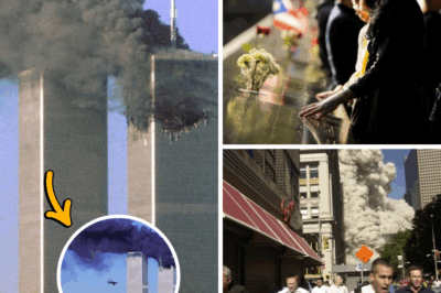 September 11, 2001: The Day America Changed Forever – Unraveling the Details of History’s Deadliest Terrorist Attack