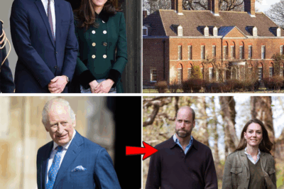 William and Kate’s Major Move Sparks Controversy as King Charles Expresses Displeasure
