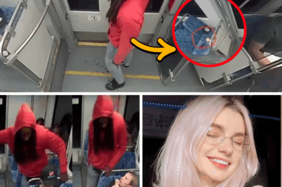 Blood on the Rails: The First Witness’s Chilling Revelation in Iryna Zarutska’s Brutal Train Stabbing