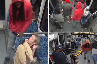 Bystander Silence: The Chilling Aftermath of Iryna Zarutska’s Murder on Charlotte’s Light Rail