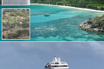 “I Love You, Honey”: 80-Year-Old Aussie Grandma Dies Alone on Lizard Island After Cruise Ship Sails Off Without Her – Daughter Demands Answers in Shocking Final Moments Revelation